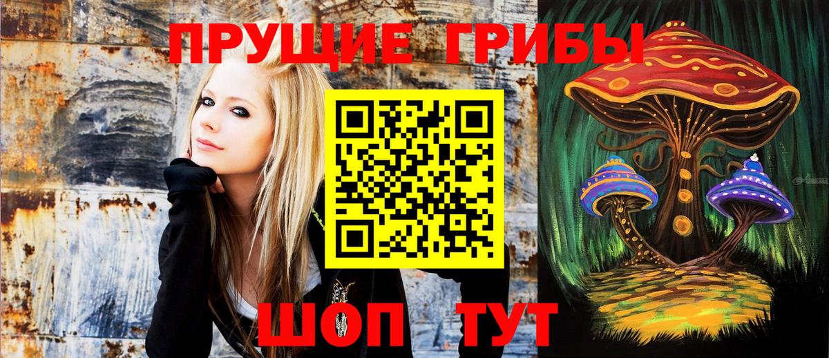 Екатеринбург  Псилоцибиновые грибы ЛСД  Вход с VPN 